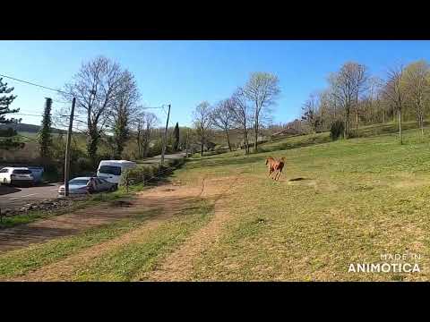 <b>Description: </b>Dahess Hassaka, 2021<br/><b>Copyright: </b>@Au Bonheur d