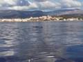 dauphins dans le golfe d'Ajaccio