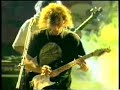 live festival introduction