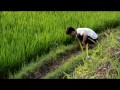 KKNM Desa Banjaran, Maja, Majalengka