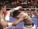 manny pacquiao tribute
