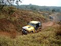 Cachorrão 4 x 4