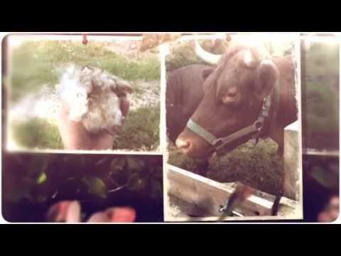 MrHartmanScience - CVEEC Hale Farm & Village Spicy Lamb Farm Greenfield Berry Farm.
