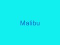 Malibu xx