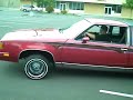 85 Cutlass Lowrider