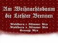 Am Weihnachtsbaum die Lichter Brennen - Waldhorn duett und