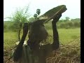 Chithra Pournami 2008 - I Chithra Pournami 2008 - I