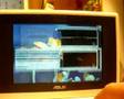 Asus EeePC and KDE4 RC2