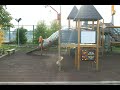 The LIDO Recreation Centre is a place...