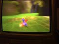 Spyro: uneaten butterfly glitch