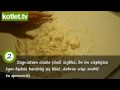 Ciasteczka korzenne koty od kotlet.tv (HD)