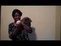 Angry Talking Cat Hates Family! Mean Kitty Untamed And Uncut!!