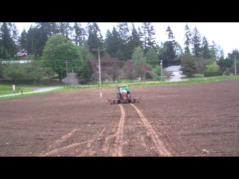 how to grow a pumpkin patch