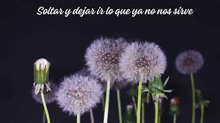 Thumbnail Logo del XXIII Capítulo General