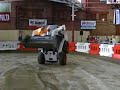 Bobcat Gone Wild
