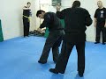 Module 4 set 3 Hicho - Side kick - Rear kick