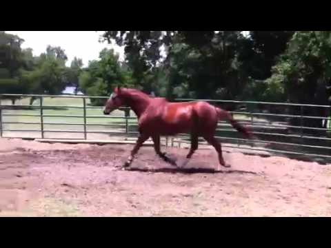See video