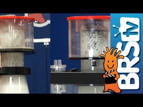 how to adjust protein skimmer