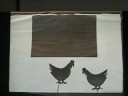 ShadowPuppets Part2