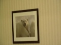 Lakeview Signature Inn Calgary Airport - Your Calgary Stampede Hotel