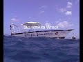 Barbados Video