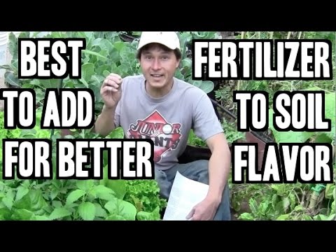 how to fertilize garden organically