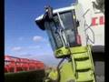 moisson 2008 colza2