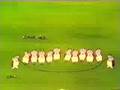 Ladybugs-Picnic