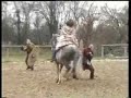 entrainement cavalerie antique