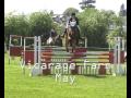 RELOADED Milo Showjumping - Best Time of the Year 07