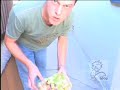 I Work For Assholes - Piss Salad