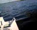 Virginia sets sail!