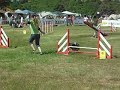 bibi GPF 2008