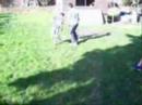 Pat ki Fai Danser Nano et William