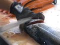 How-to fillet a salmon