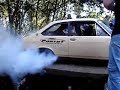 Dodge borrachudo