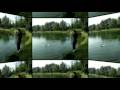 CARP FISHING 2008 CARP FISHING 2008