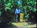 bave teyar kerte daweta