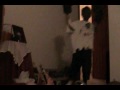 Incredible Rees(REMIX)WITH BETTER BLOOPERS