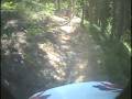 videos de Big Creek 1