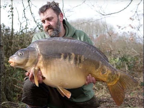 On The Bank Live : Old Oaks Winter '16, Mar 2016 On The Bank Live : Old Oaks Winter '16, Mar 2016