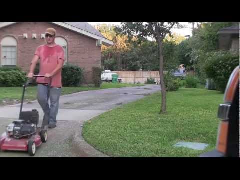 how to lawn care tips