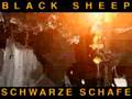 schwarze schafe - goa party