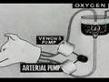Experiments in the Revival of Organisms (1940) Part 1