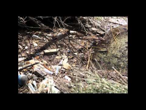 Nonpoint Source Pollution