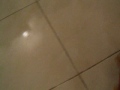 \"baratinha\" fase 2
