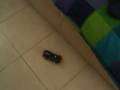 videos de 