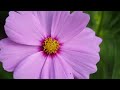Видеообзор Olympus ED 12-40mm f/2.8 Pro M.Zuiko Digital