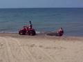 videos de training
