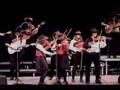 Saline Fiddlers Devil Went Down to Georgia